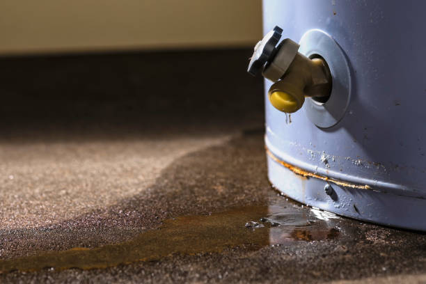 Best Flooded house restoration  in Bonsall, CA