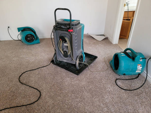 Best Fire Damage Restoration  in Bonsall, CA