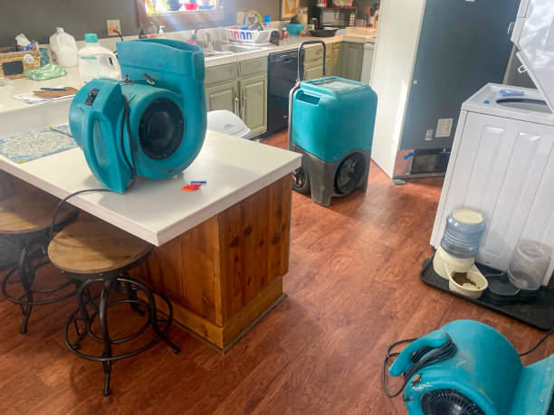 Best Water damage restoration insurance claims  in Bonsall, CA