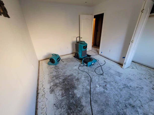 Best Basement water damage restoration  in Bonsall, CA