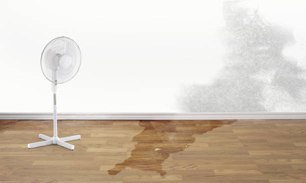 Best Water damage restoration services  in Bonsall, CA