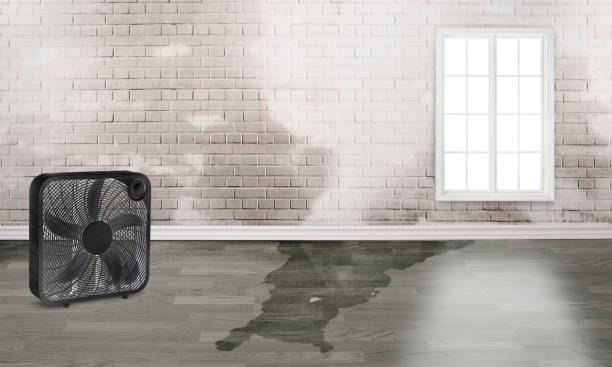 Best Water damage restoration near me  in Bonsall, CA