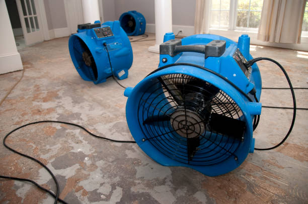 Best Flood damage cleanup  in Bonsall, CA